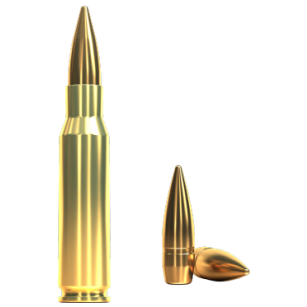 308 Winchester, FMJ 9,55g, Sellier&Bellot