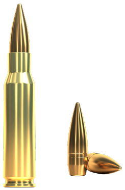 308 Winchester, FMJ 9,55g, Sellier&Bellot