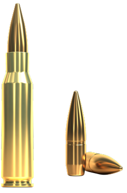 308 Winchester, FMJ 11,7g, Sellier&Bellot