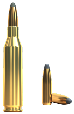 243 Winchester, SP 6,5g, Sellier&Bellot