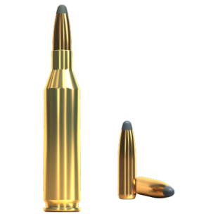 243 Winchester, SP 6,5g, Sellier&Bellot