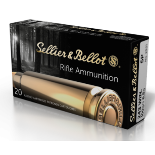 243 Winchester, SP 6,5g, Sellier&Bellot