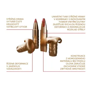 308 Winchester, TXRG Cutting Edge 10,7g, Sellier&Bellot