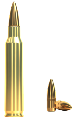 223 Remington, FMJ 3,6g, Sellier&Bellot