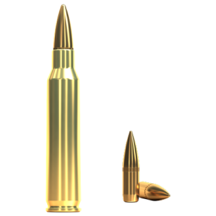 223 Remington, FMJ 4,5g, Sellier&Bellot